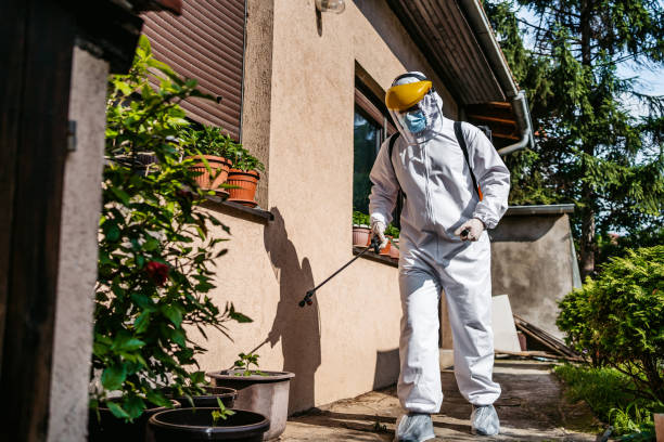 Best Cockroach Control Services  in Central Point, OR