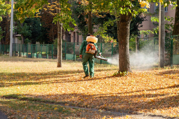 Best Spider Control Near Me  in Central Point, OR