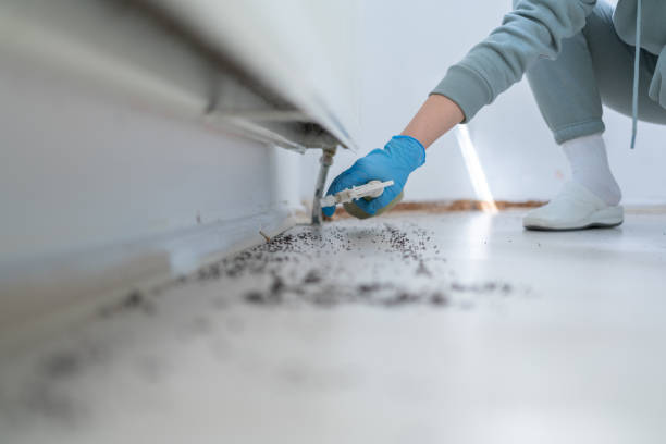 Best Pest Control Near Me in Central Point, OR